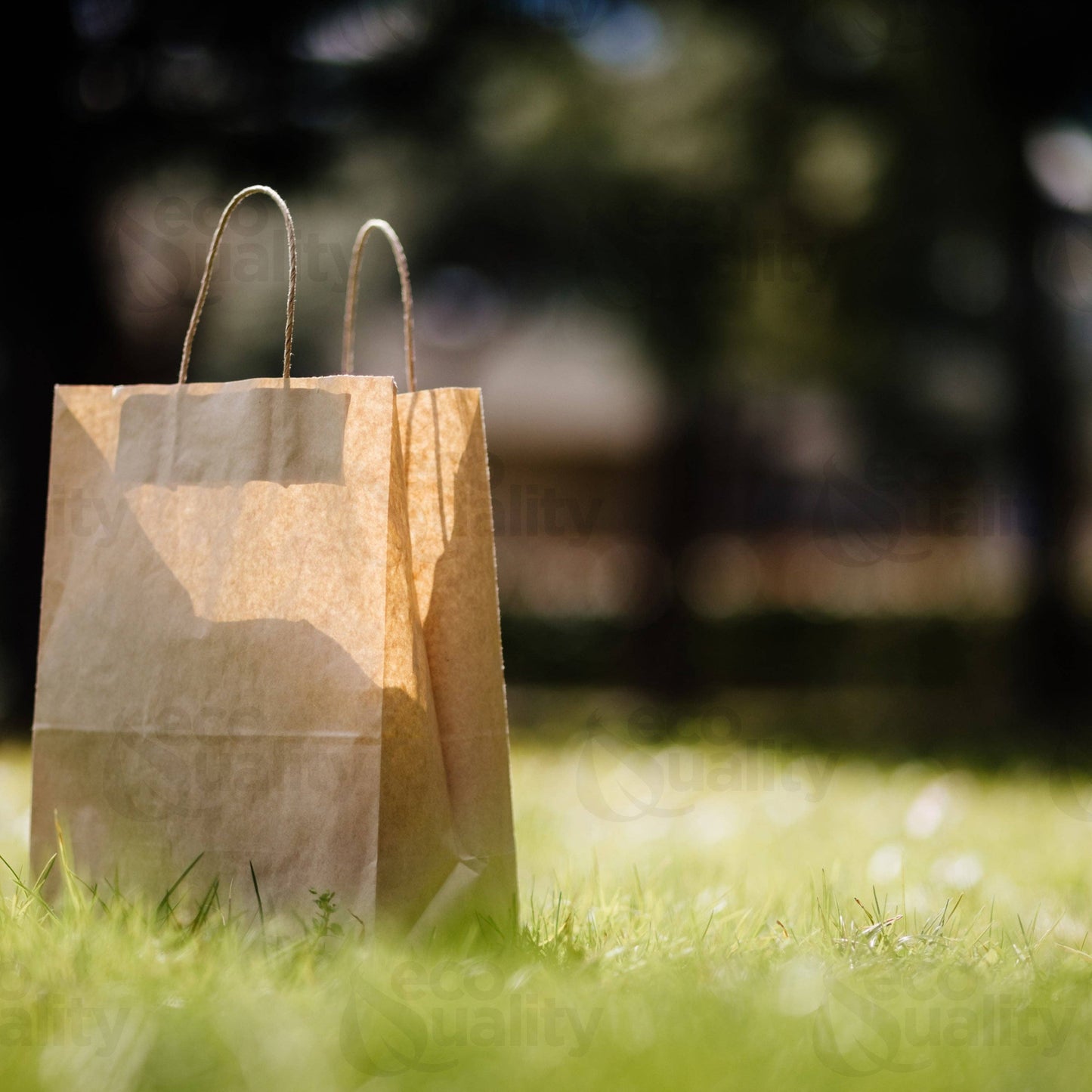 10x5x13 Kraft Brown Paper Gift Bags with Twine Handles: 200 Pcs