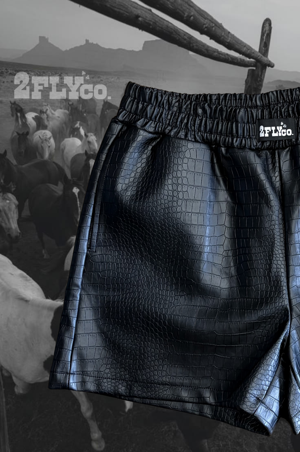ROCKIN CROC SHORTS: 3X